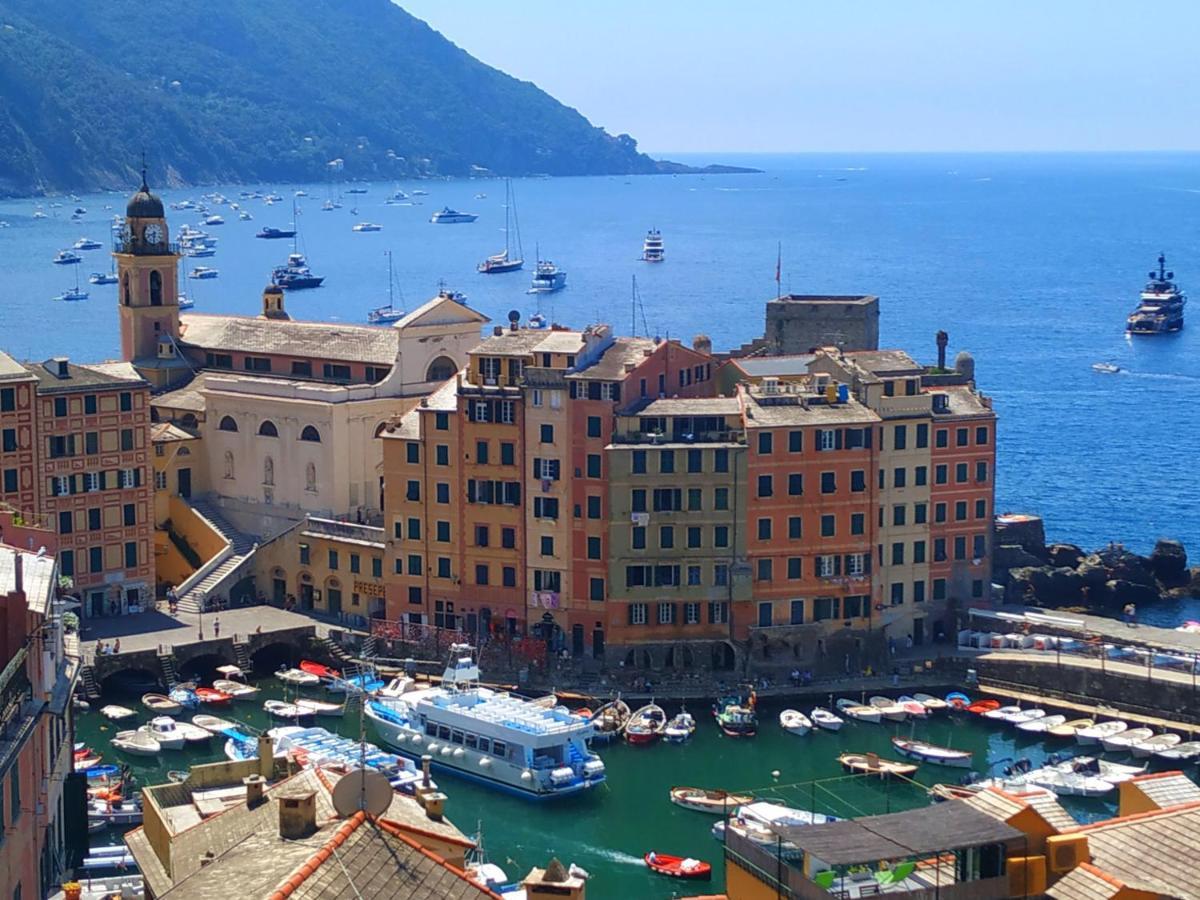 A Due Passi Dal Cielo E Dal Mare - Balcony With Sea View Lägenhet Camogli Exteriör bild